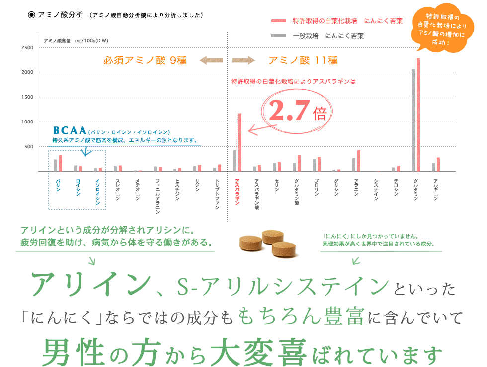 アリイン、S-アリスシステインといった「にんにく」ならではの成分ももちろん豊富に含んでいて、男性の方から大変喜ばれています！