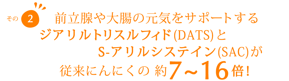 前立腺や大腸の元気をサポートするジアリルトリスルフィド(DATS)とS-アリルシステイン(SAC)が従来にんにくの約7〜16倍！