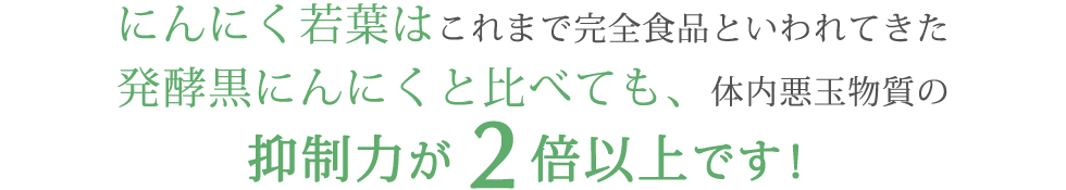 にんにく若葉は、これまで完全食品といわれてきた発酵黒にんにくと比べても、体内悪玉物質の抑制力が2倍以上です！