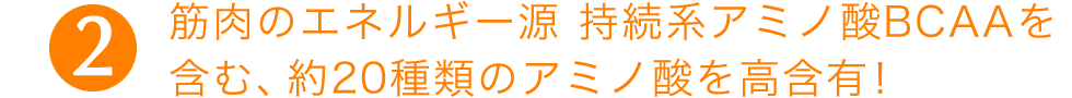（2）筋肉のエネルギー源　持続系アミノ酸BCAAを含む、約20種類のアミノ酸を高含有！