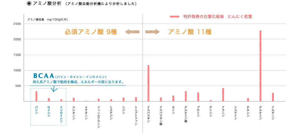 アミノ酸分析