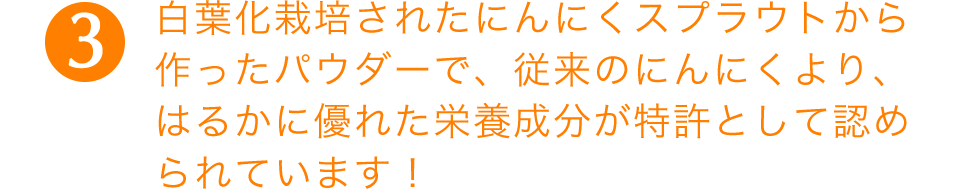 （3）白葉化栽培されたにんにくスプラウトから作ったパウダーで、従来のにんにくより、はるかに優れた栄養成分が特許として認められています！