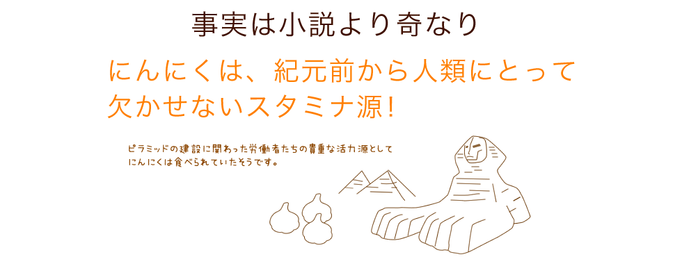 事実は小説より奇なり！にんにくは、紀元前から人類にとって欠かせないスタミナ源！